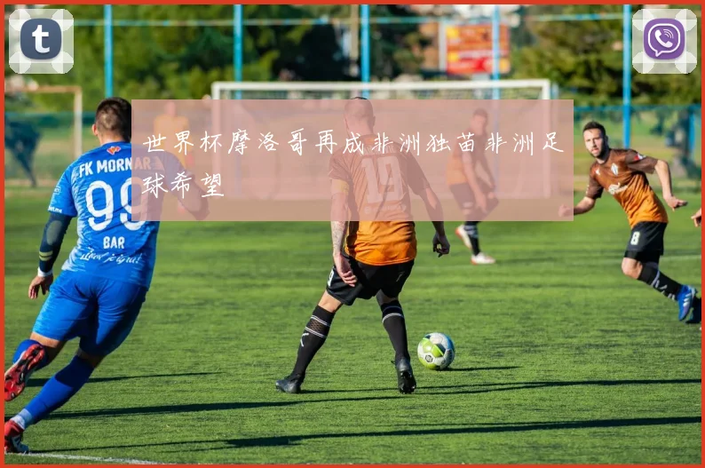世界杯摩洛哥再成非洲独苗非洲足球希望