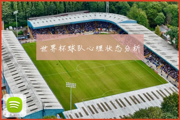 世界杯球队心理状态分析