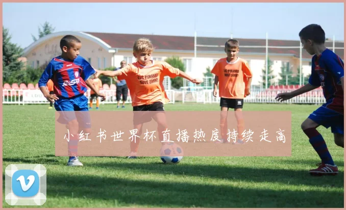小红书世界杯直播热度持续走高